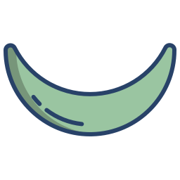 Crescent icon