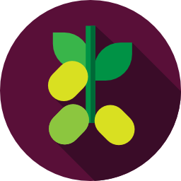 aceituna icono