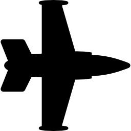 Airplane silhouette icon