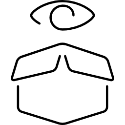 pudełko logistyczne i kontury oczu ikona