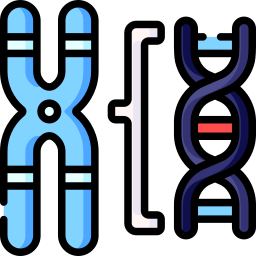 chromosome Icône