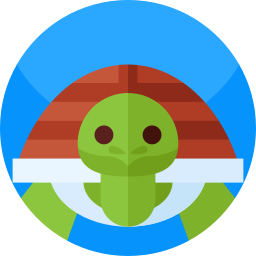 Turtle icon