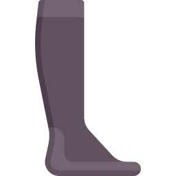 Sock icon