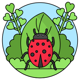 Ladybug icon