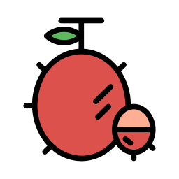 rambutan icon