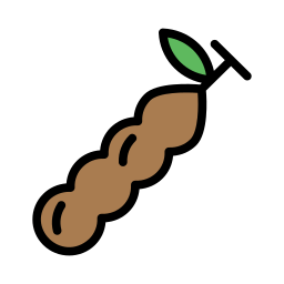 Tamarind icon