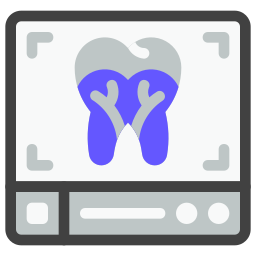 X ray icon