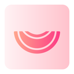 Melon icon