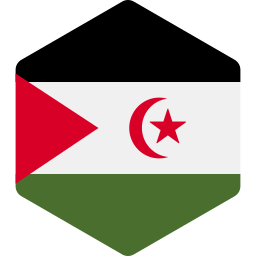 サハラウィーアラブ民主共和国 icon