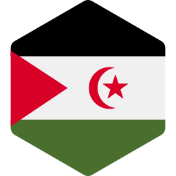 Sahrawi arab democratic republic icon