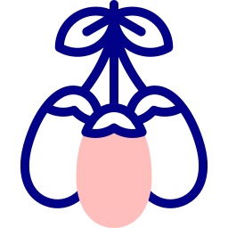 goji icono
