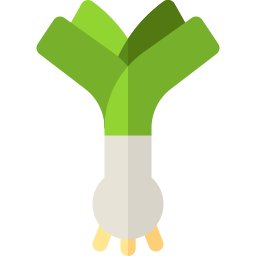 Leek icon