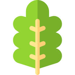 Lettuce icon