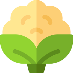 blumenkohl icon