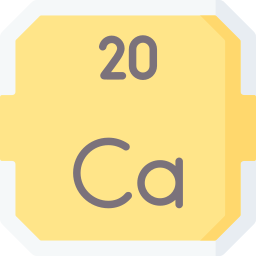 calcium Icône