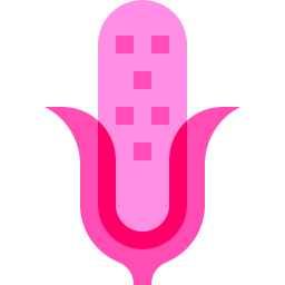 トウモロコシ icon