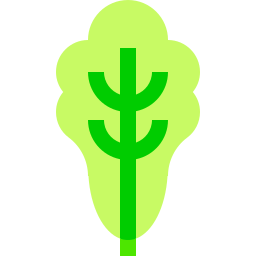 kopfsalat icon