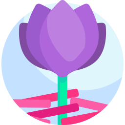 Saffron icon