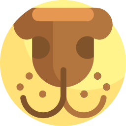 Dog nose icon