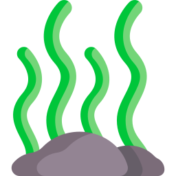 algen icoon