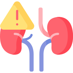 Kidney icon