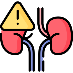 Kidney icon