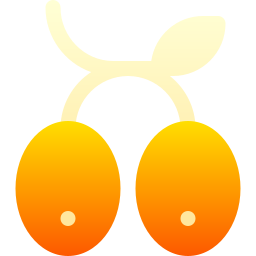 aceituna icono