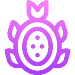 pitaya icono