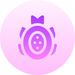 pitaya icon