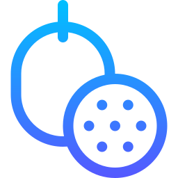 Passion fruit icon