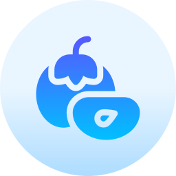 Persimmon icon