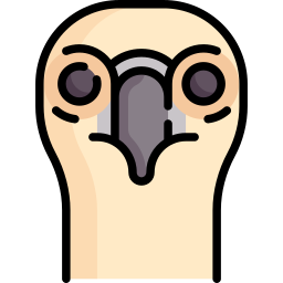 avvoltoio icona