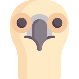 Vulture icon