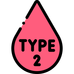 type 2 icoon