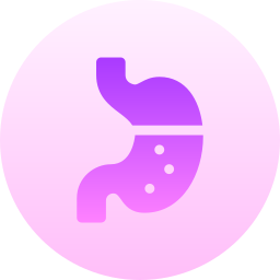 Stomach icon