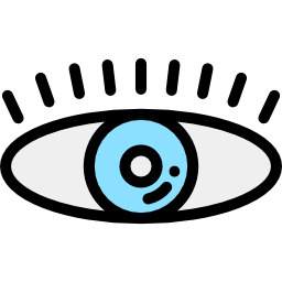 ojo icono