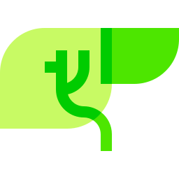 Liver icon