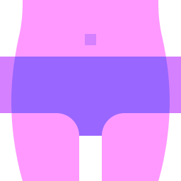 bauch icon