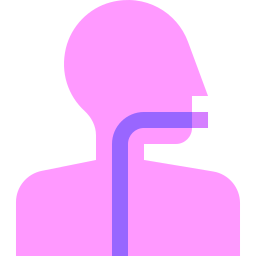 esofago icona