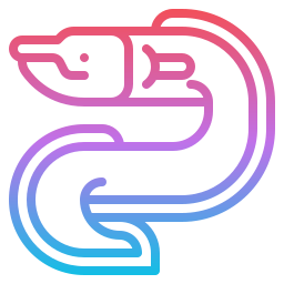 Eel icon