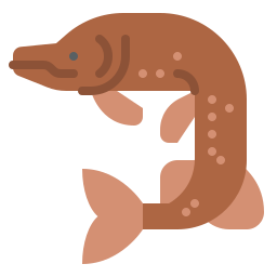 fisch icon