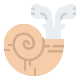 caracol icono