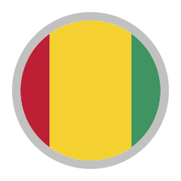 Guinea icon