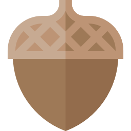 Acorn icon