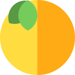 Orange icon