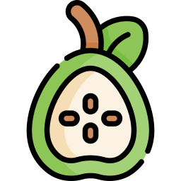 Guava icon