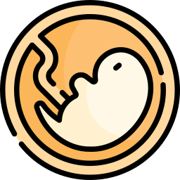 Embryo icon