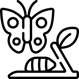 métamorphose Icône