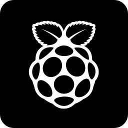 Raspberry pi icon