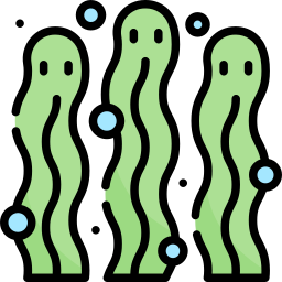 les algues vertes Icône